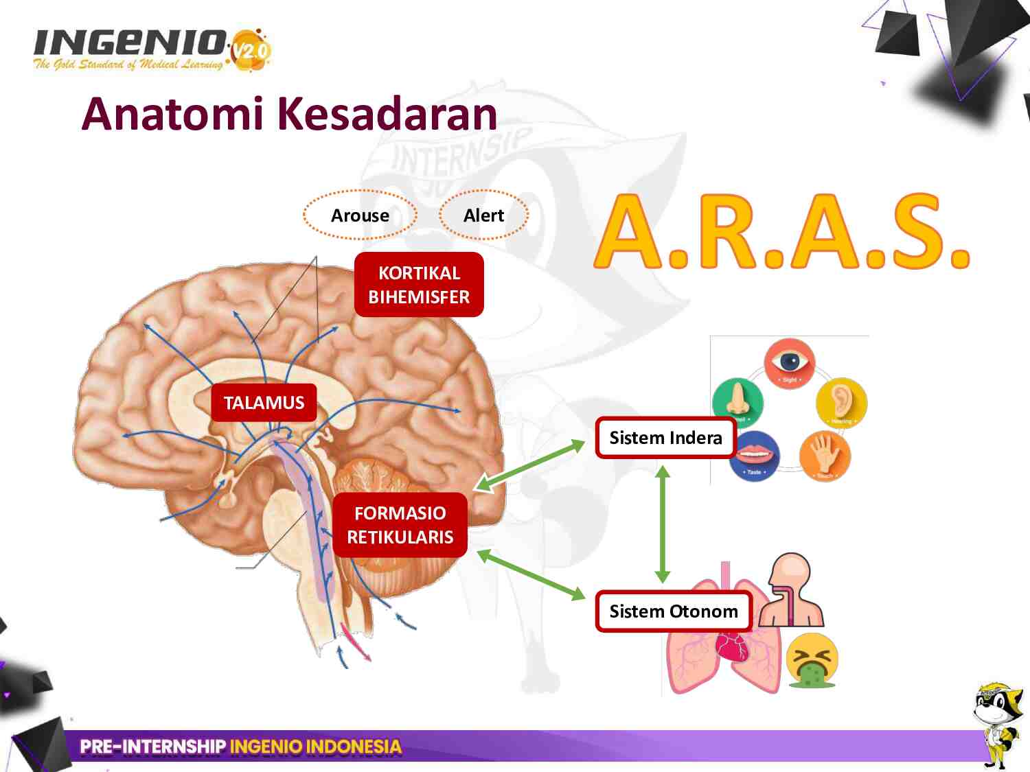 pre-internship-ingenio-[day-6)--doc-in-neuroemergency-869